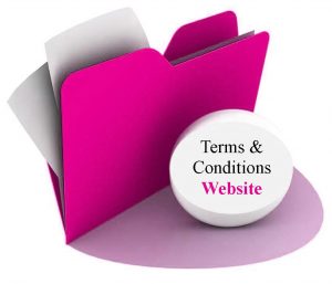Terms and Conditions