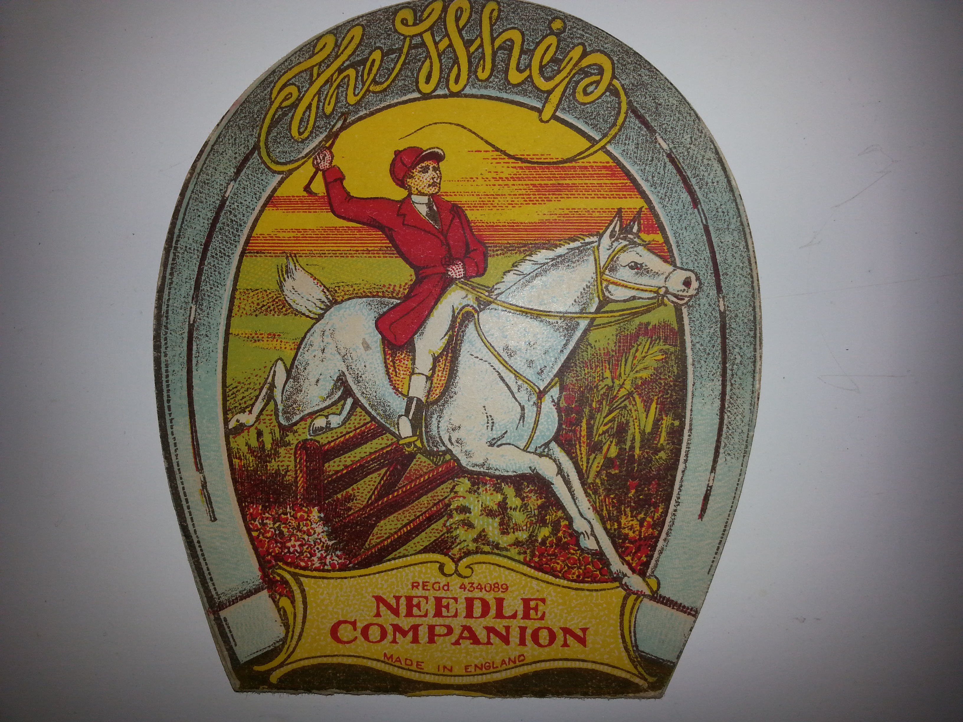Whip It Needle Case