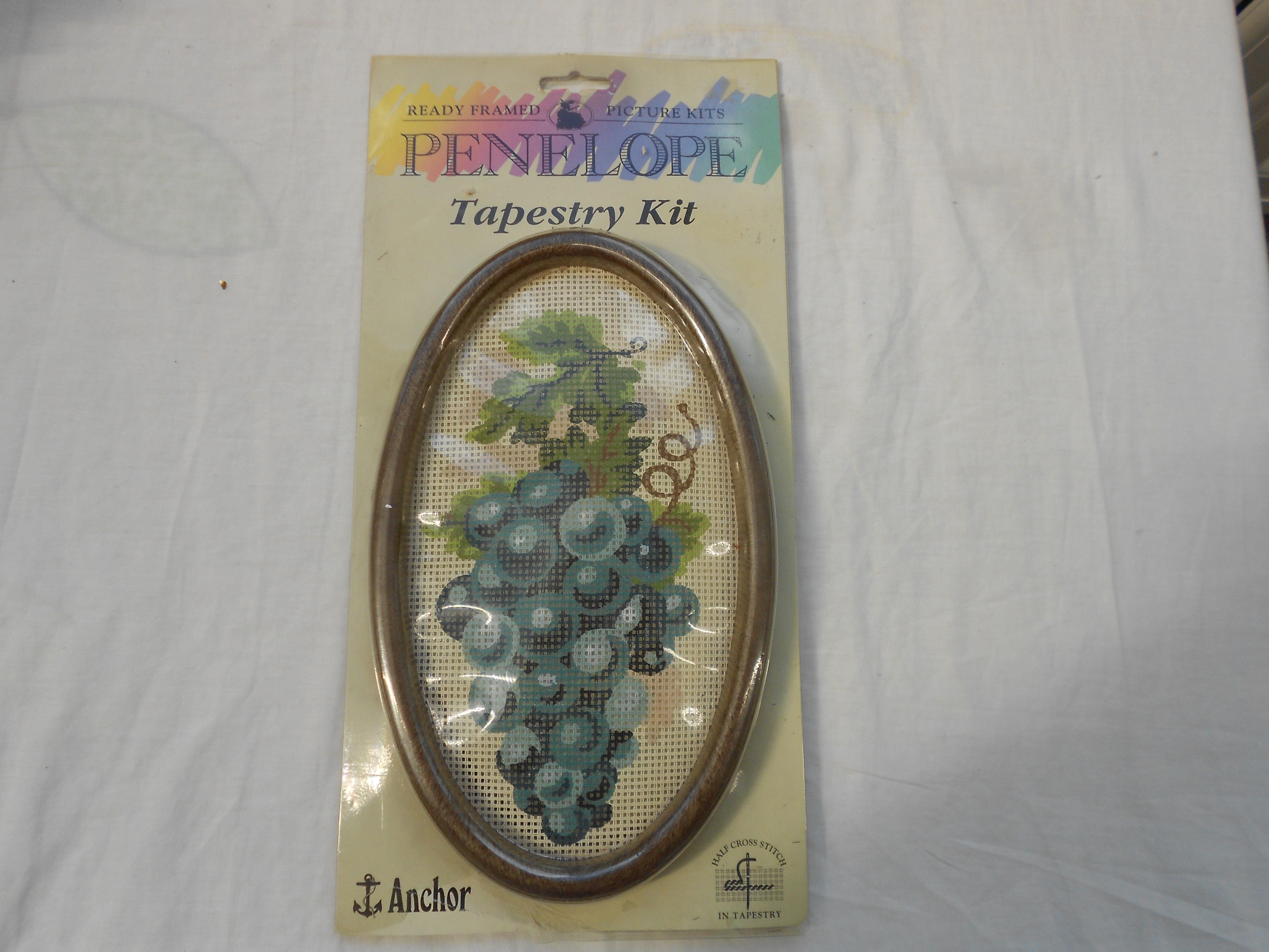 Framed Grapes Tapestry Kit