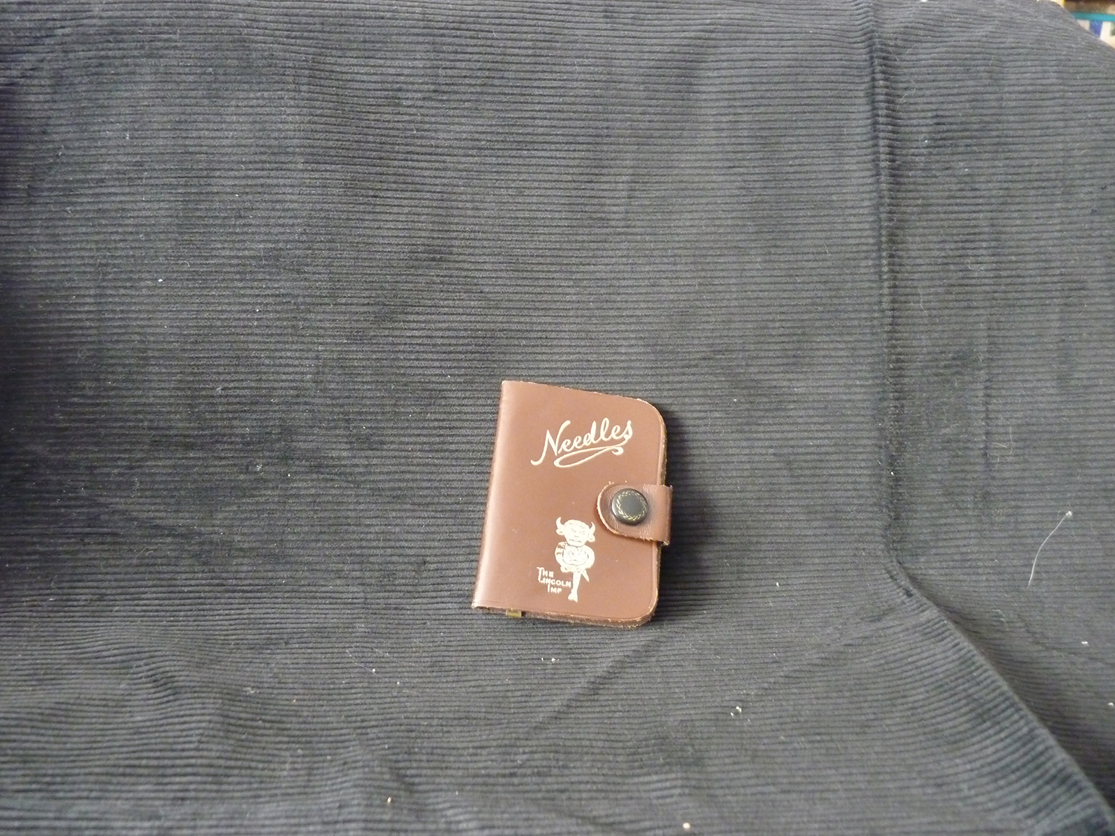 The Lincoln Imp Needle case