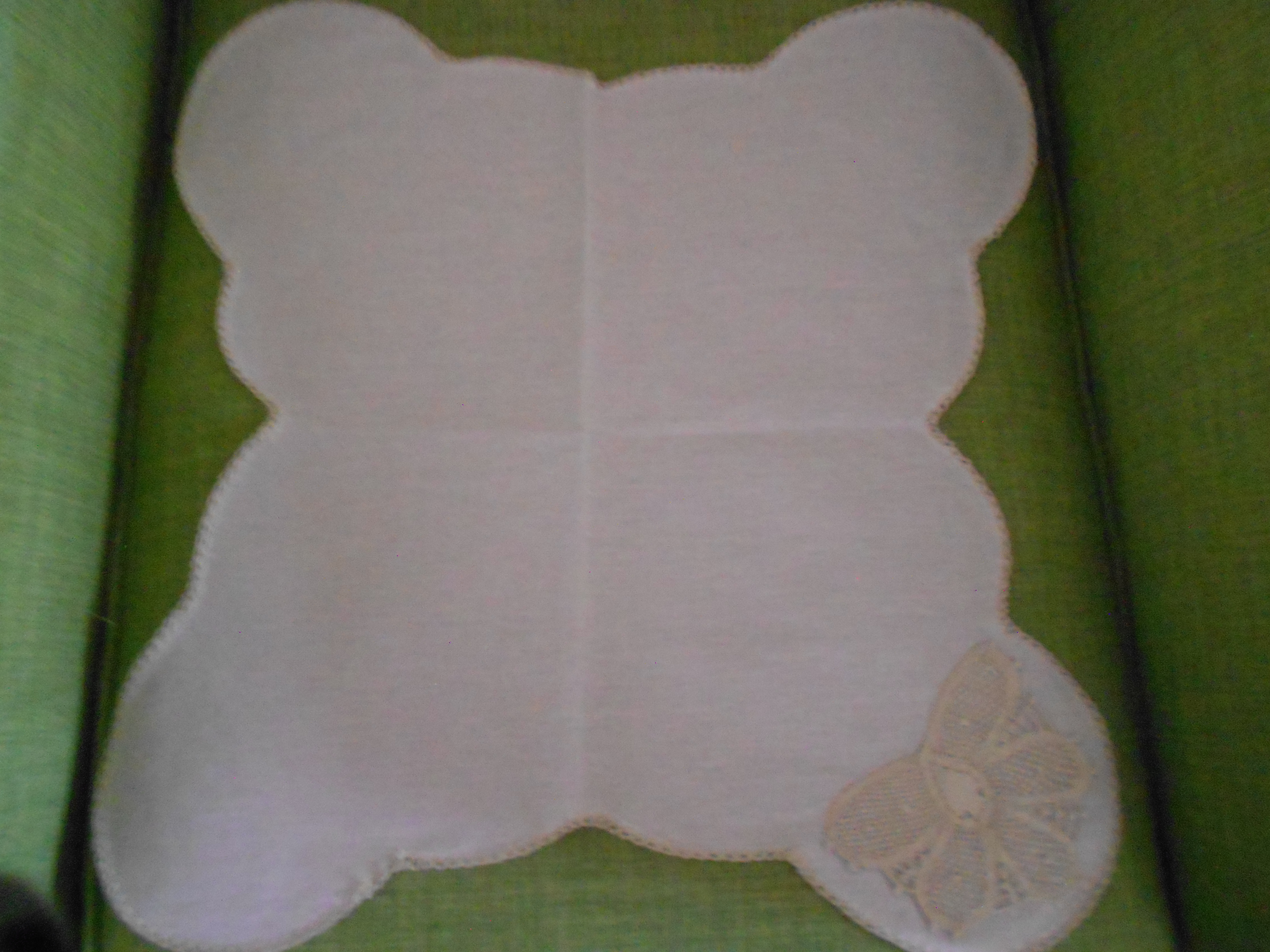 Butterfly Cloth