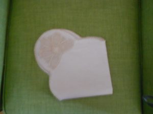 Butterfly Cloth