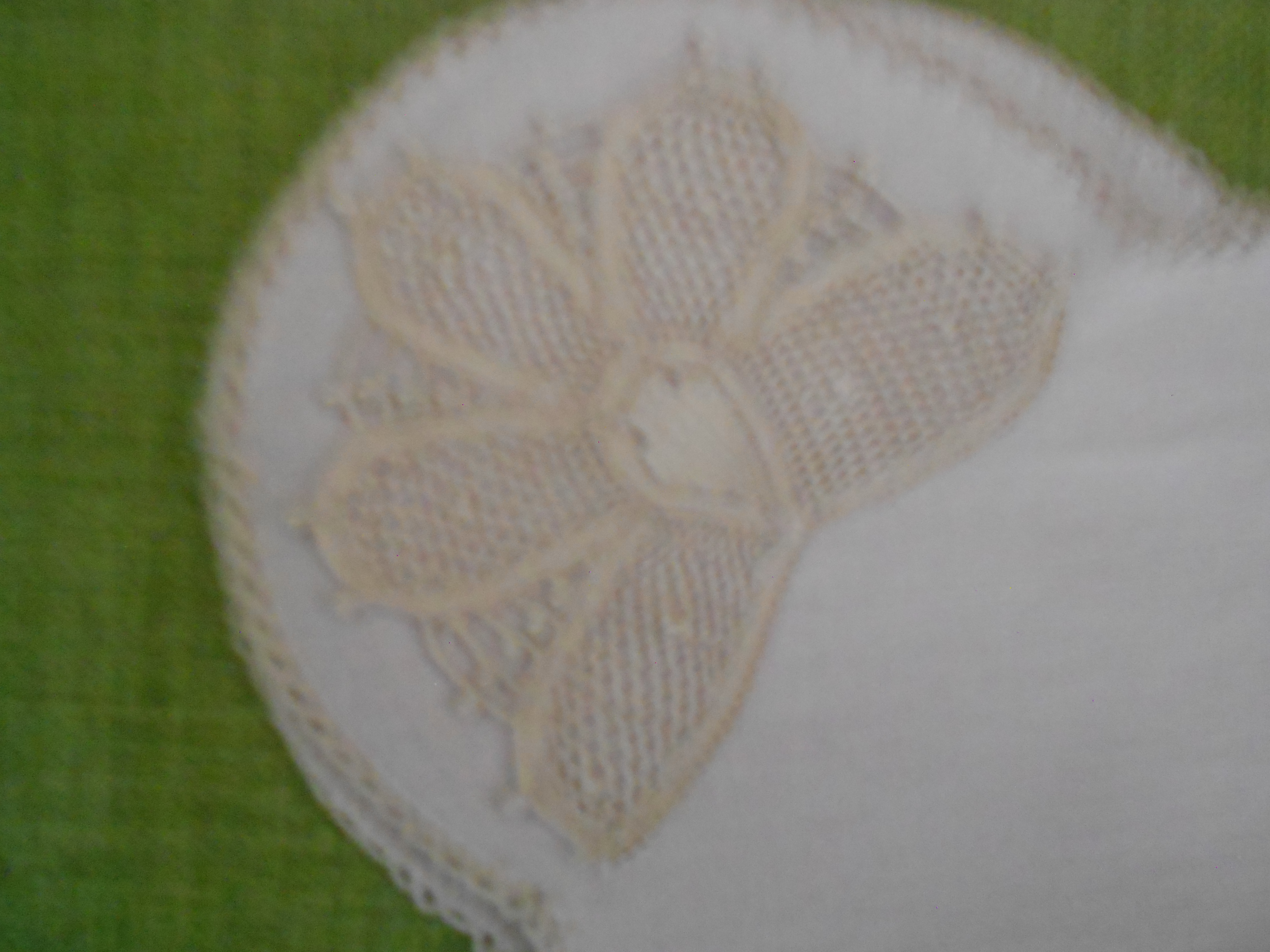 Butterfly Cloth
